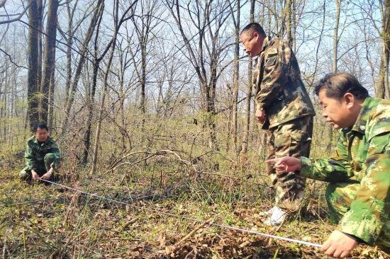大東林場(chǎng)黨支部開(kāi)展“科學(xué)造林育林 實(shí)現(xiàn)永續(xù)利用”主題黨日活動(dòng)（1）.jpg