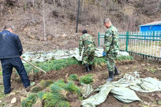 踐行綠色使命 書寫生態(tài)答卷森林資源管護大隊扎實推進春季營林生產(chǎn)工作（1）.jpg